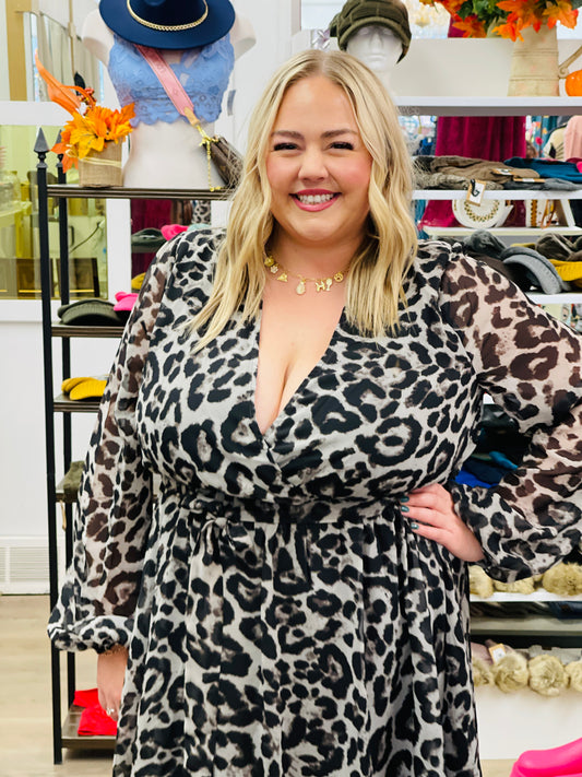 Curvy Animal Print Dress